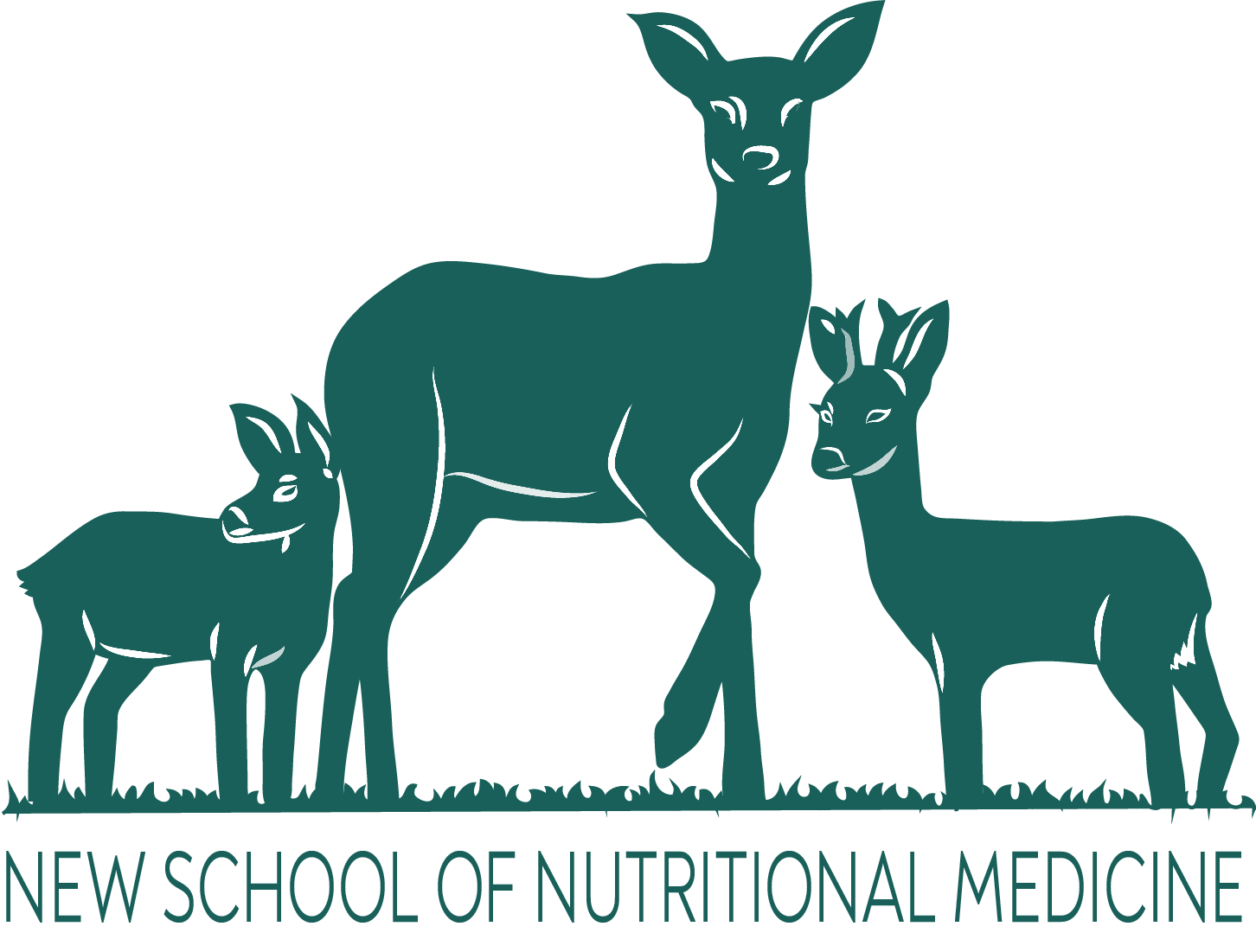 The New School Of Nutritional Medicine