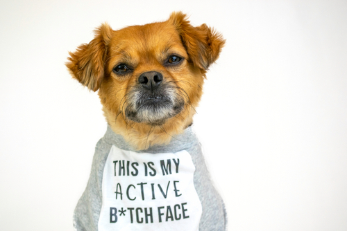 distorted-thinking-part-1-is-that-your-resting-bitch-face-or-have-i-done-something-to-upset-you