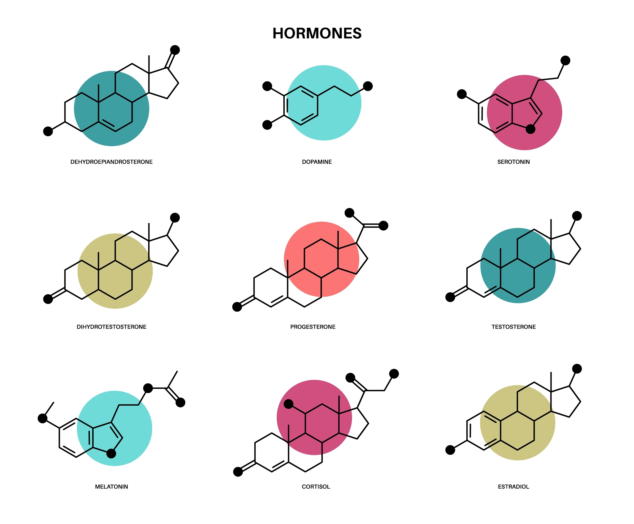 hormones-love-them-or-hate-them