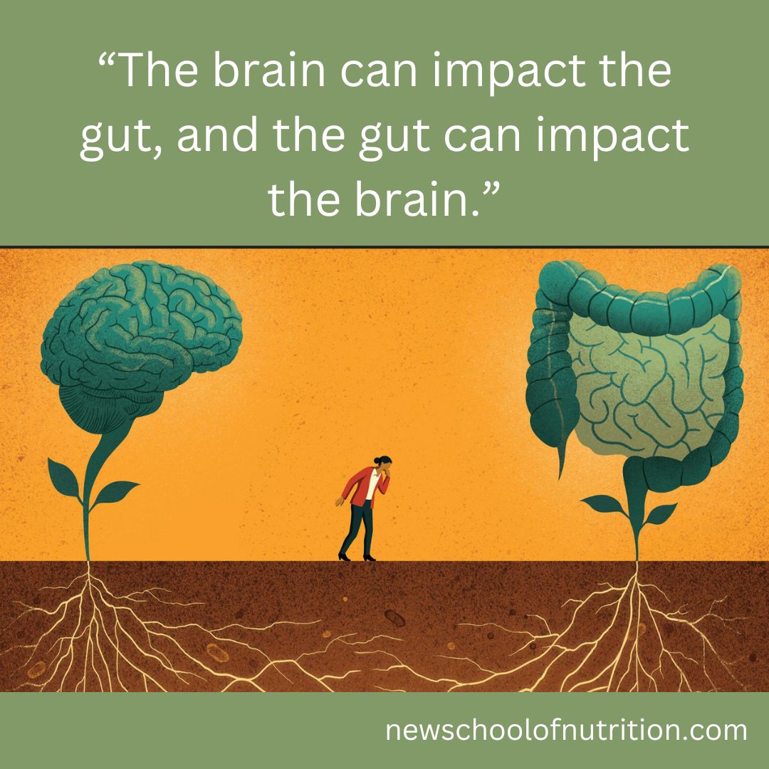 mother-s-microbiome-can-impact-her-developing-baby-s-brain-in-utero