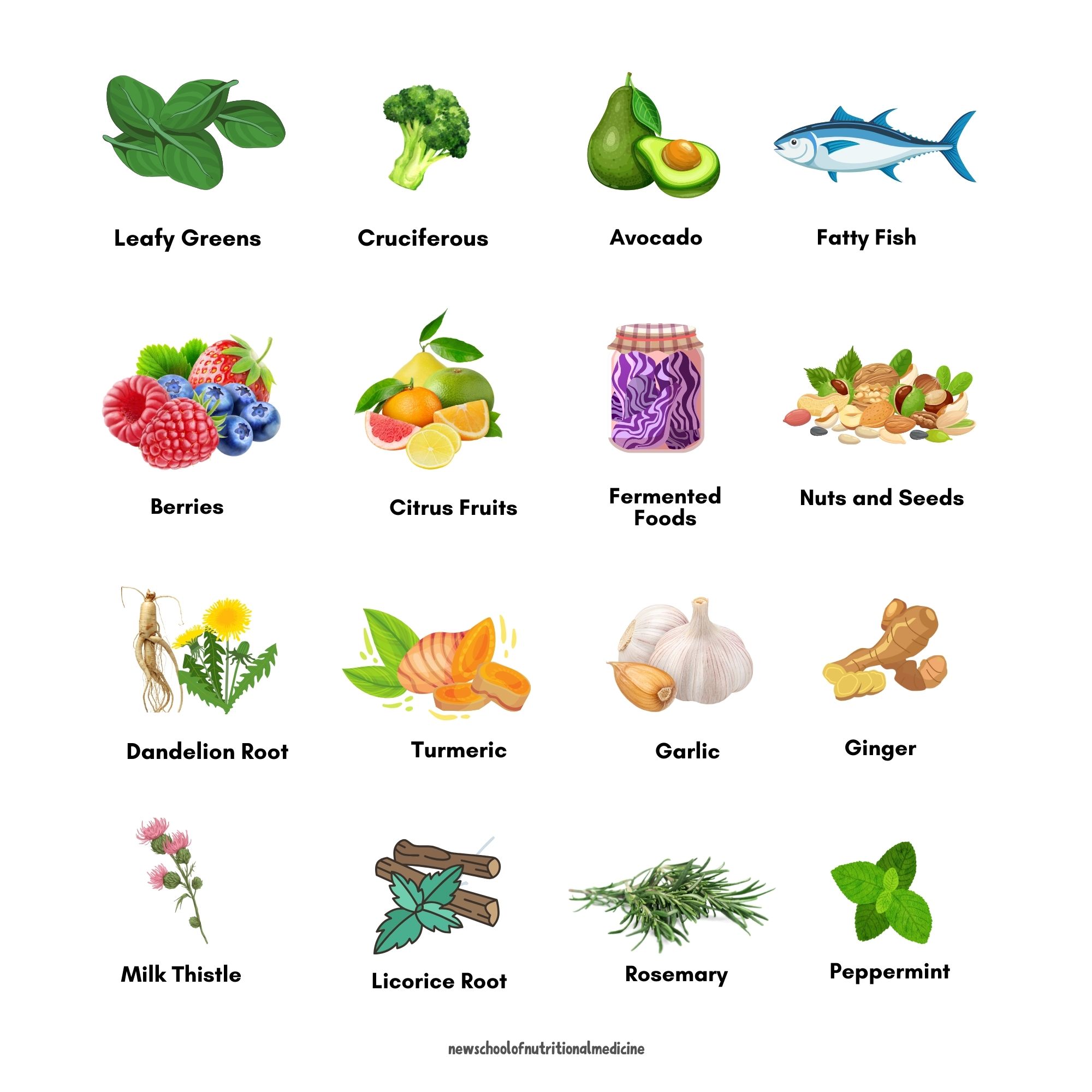 nutrition-medicine-and-gut-health-how-to-make-your-own-ozempic