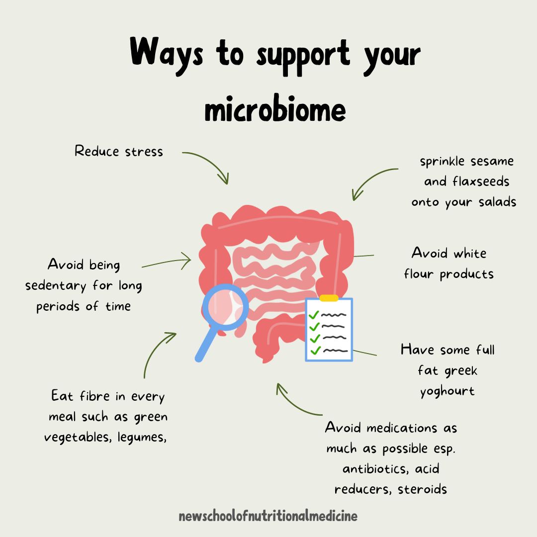 nutrition-medicine-and-gut-health-how-to-make-your-own-ozempic