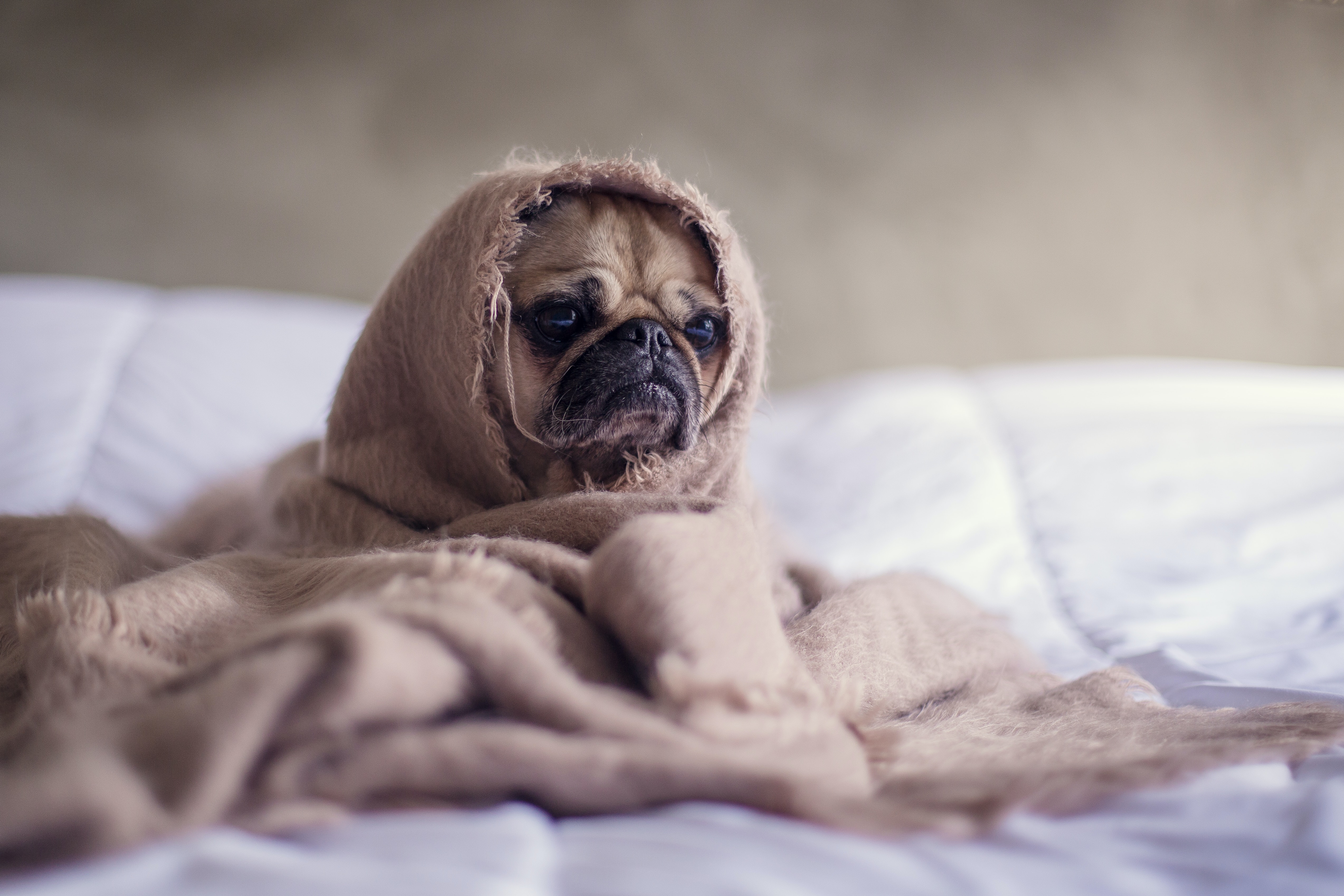 subtle-signs-of-stress-from-your-body