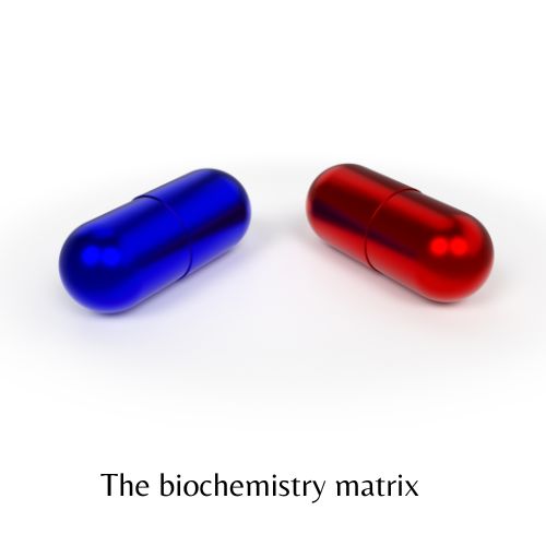 the-biochemistry-matrix-at-the-new-school-of-nutritional-medicine