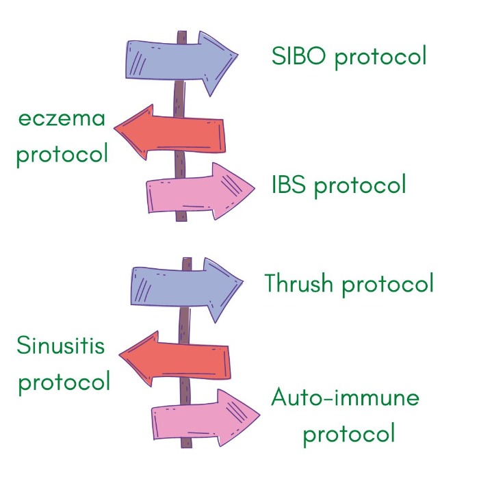 the-healing-journey-cannot-be-put-into-a-travel-app-to-follow-a-set-route-aka-protocol