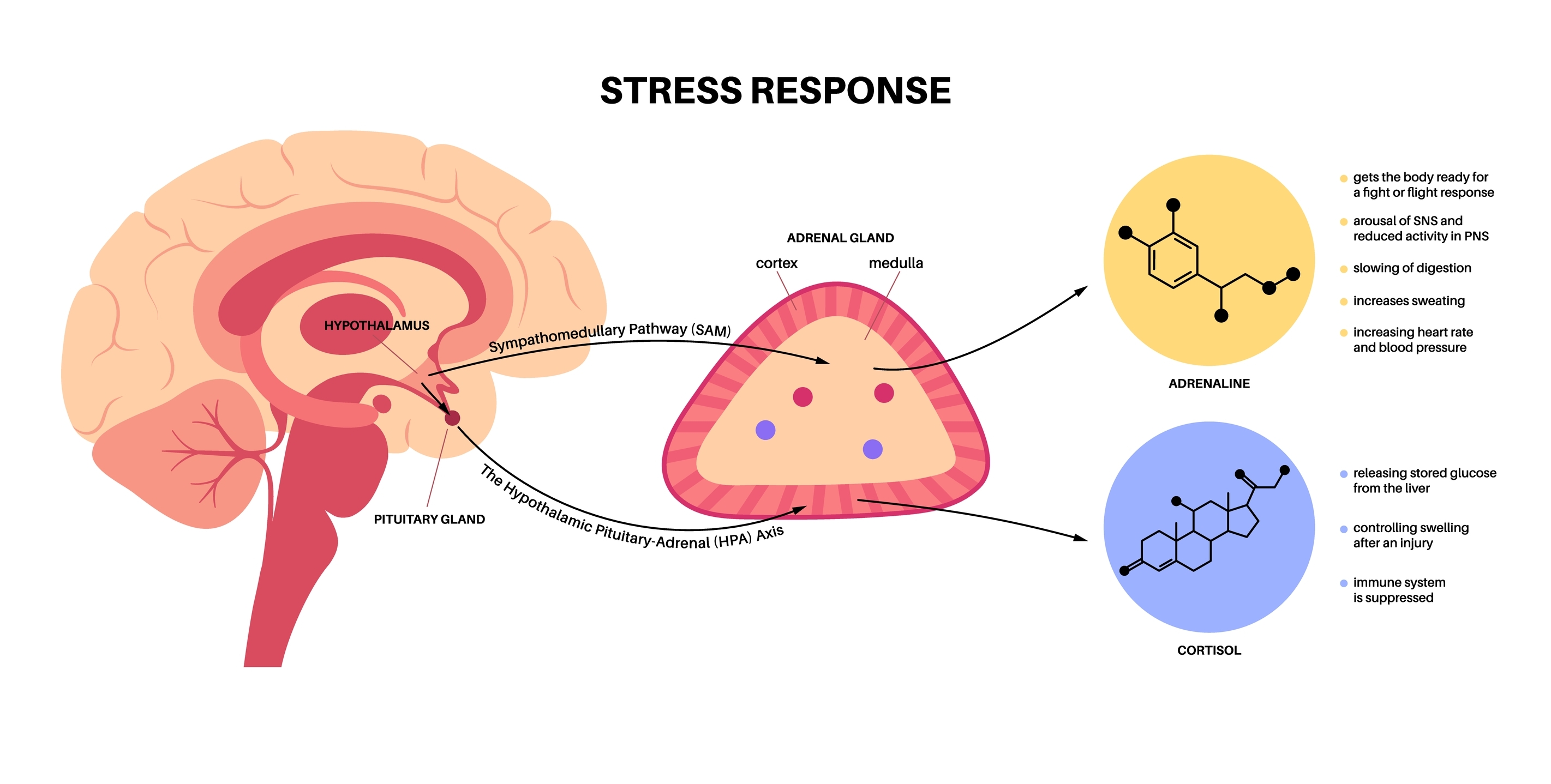 vitamin-r-yes-we-re-talking-about-resilience