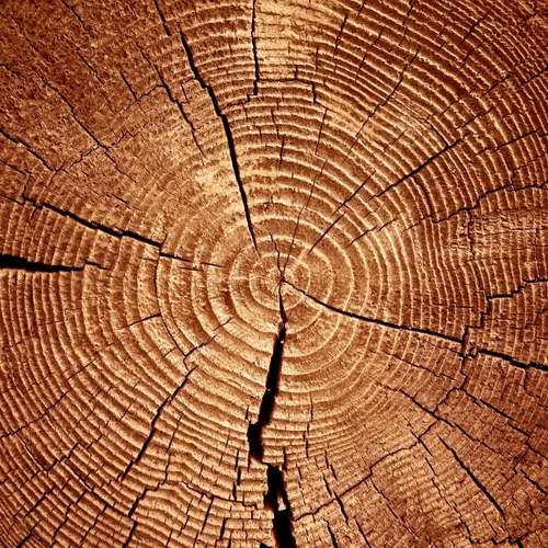 vitamin-r-yes-we-re-talking-about-resilience