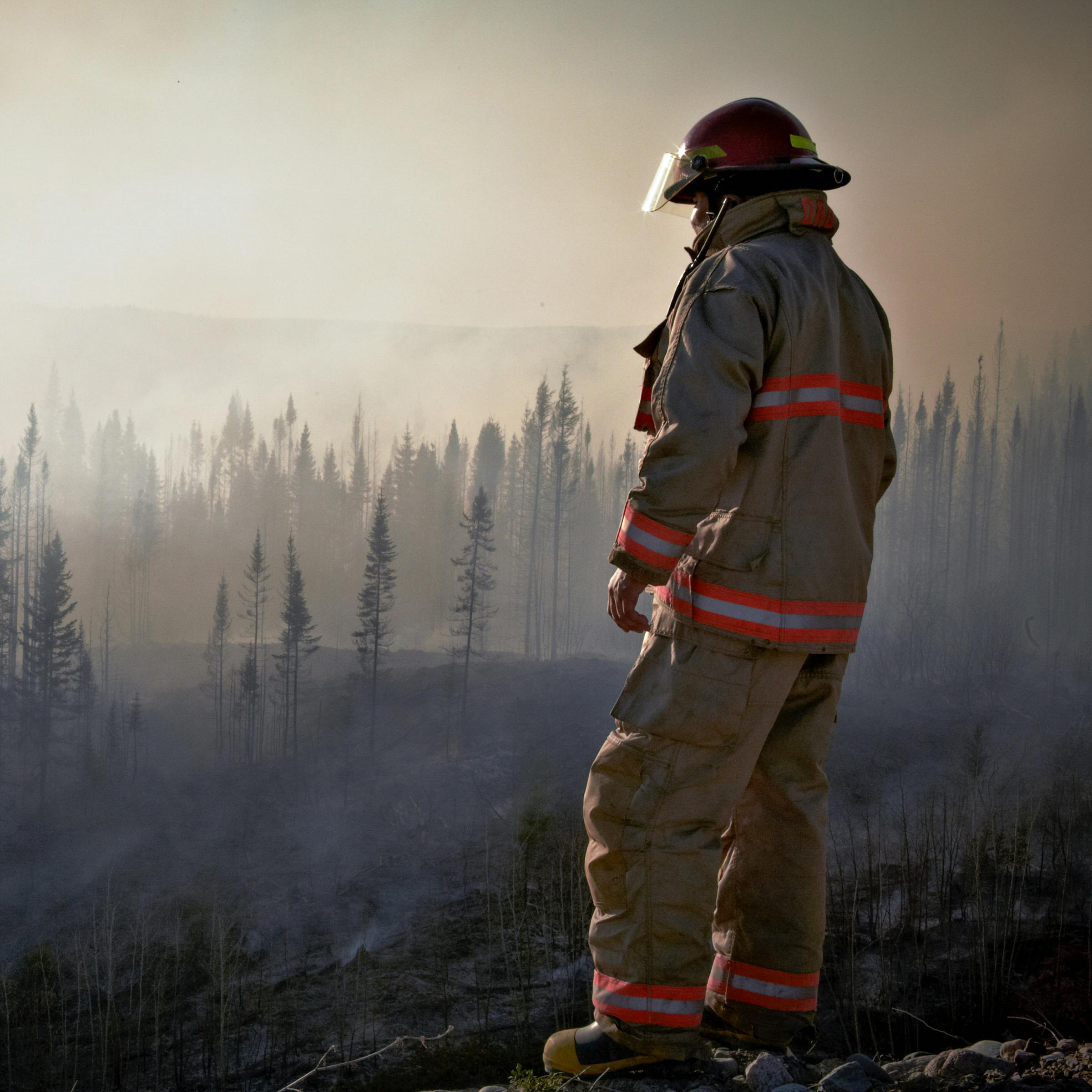 wild-fires-homeopathy-and-naturopathic-support