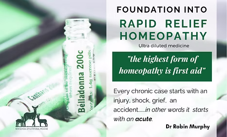 Foundation to Rapid Relief Homeopathy