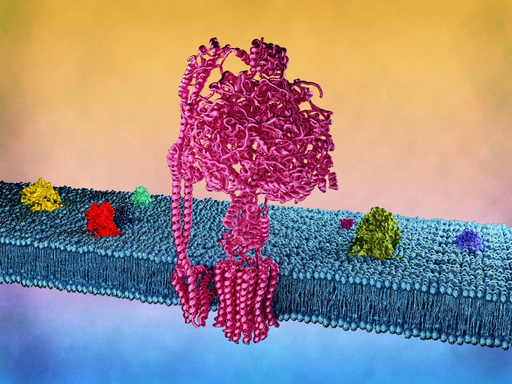 chronic-conditions-and-the-cell-danger-response